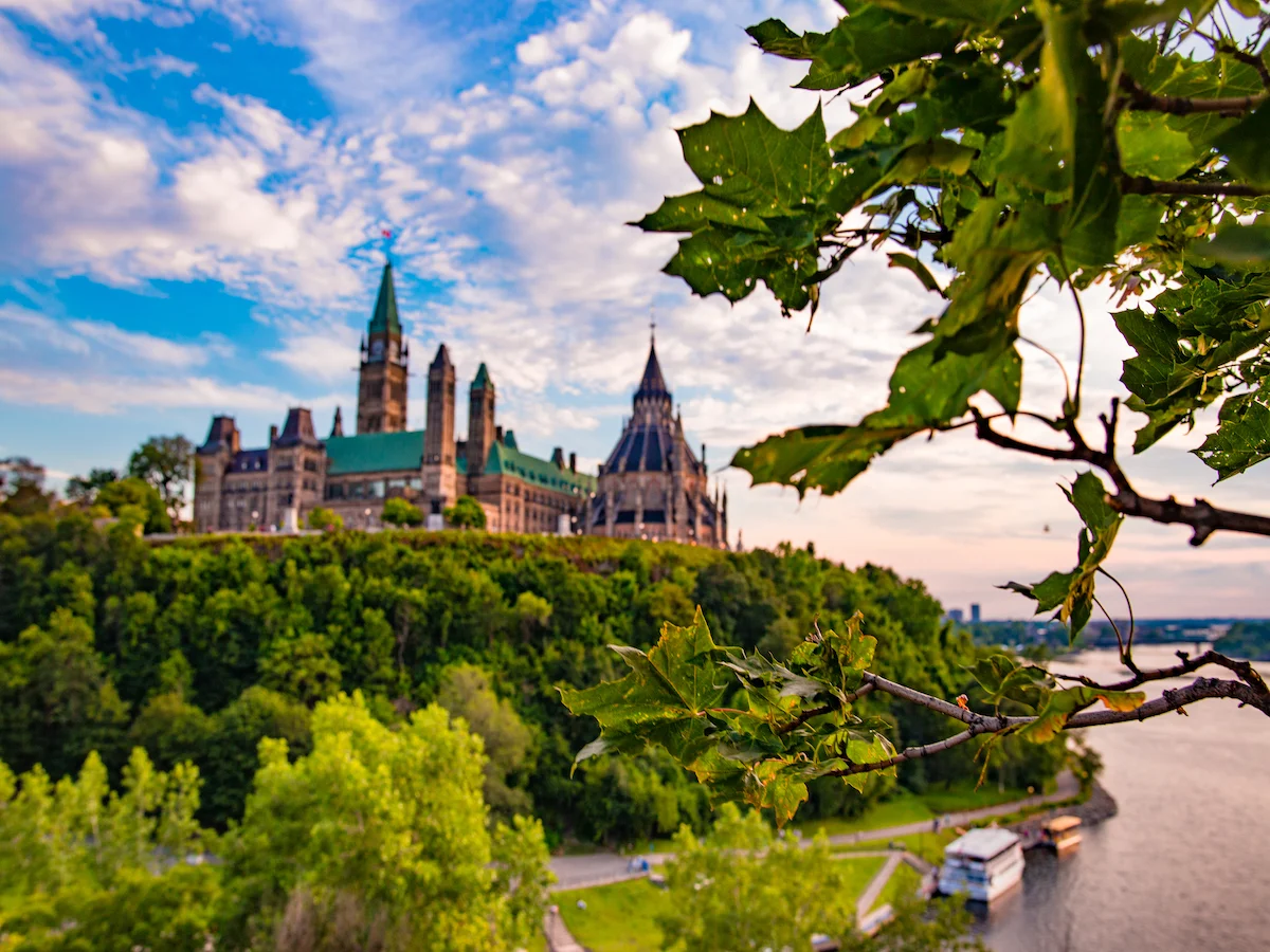 W krainie klonowego liścia