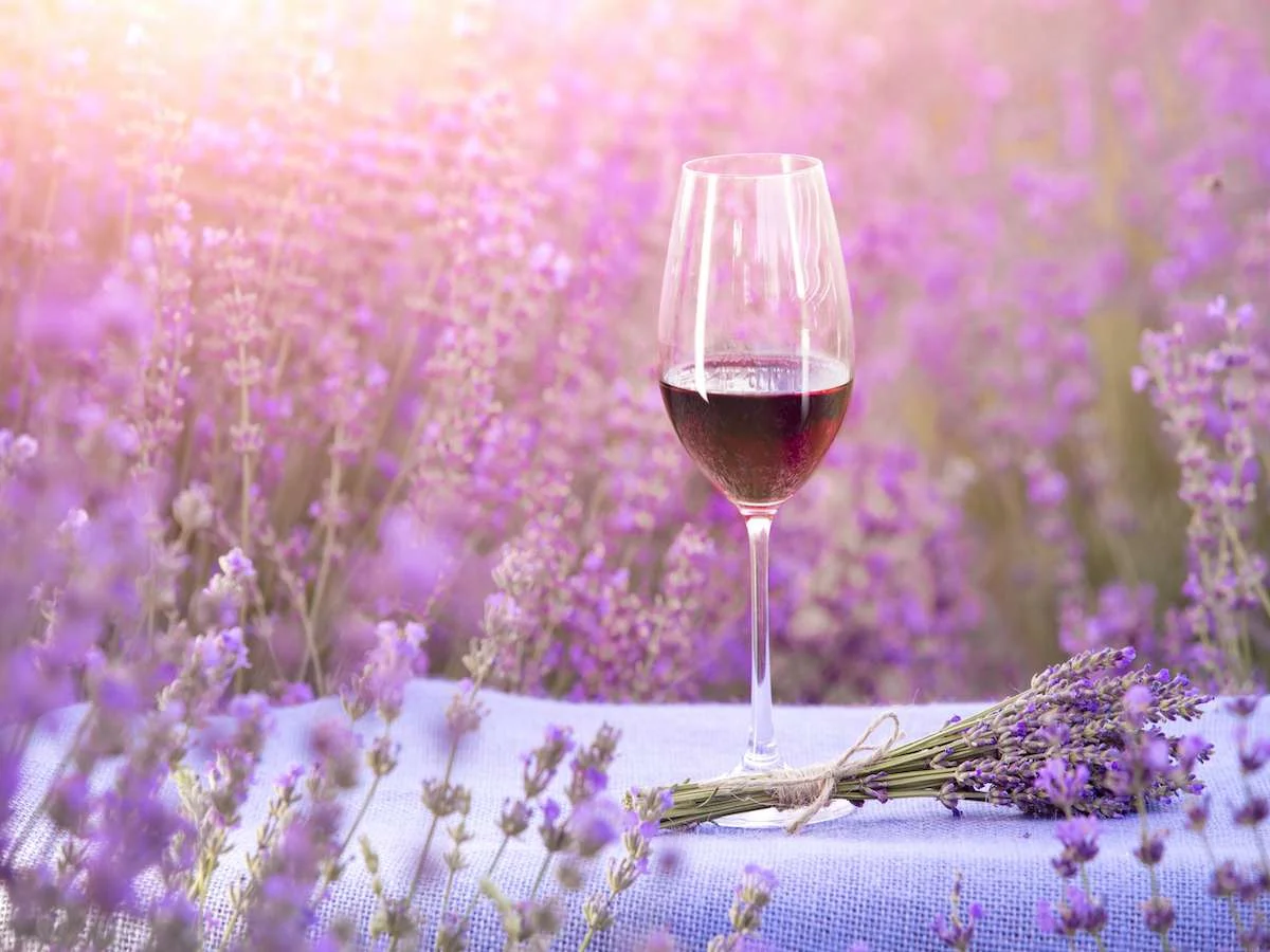 Prowansja i Lazurowe Wybrzeże