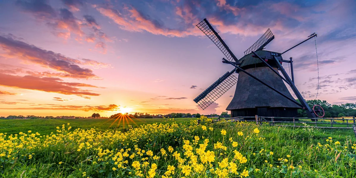 W krainie wiatraków