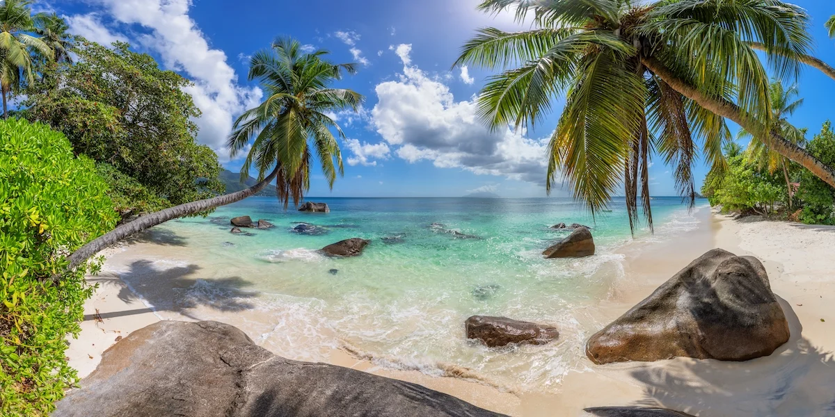 Z wizytą u Boba Marleya