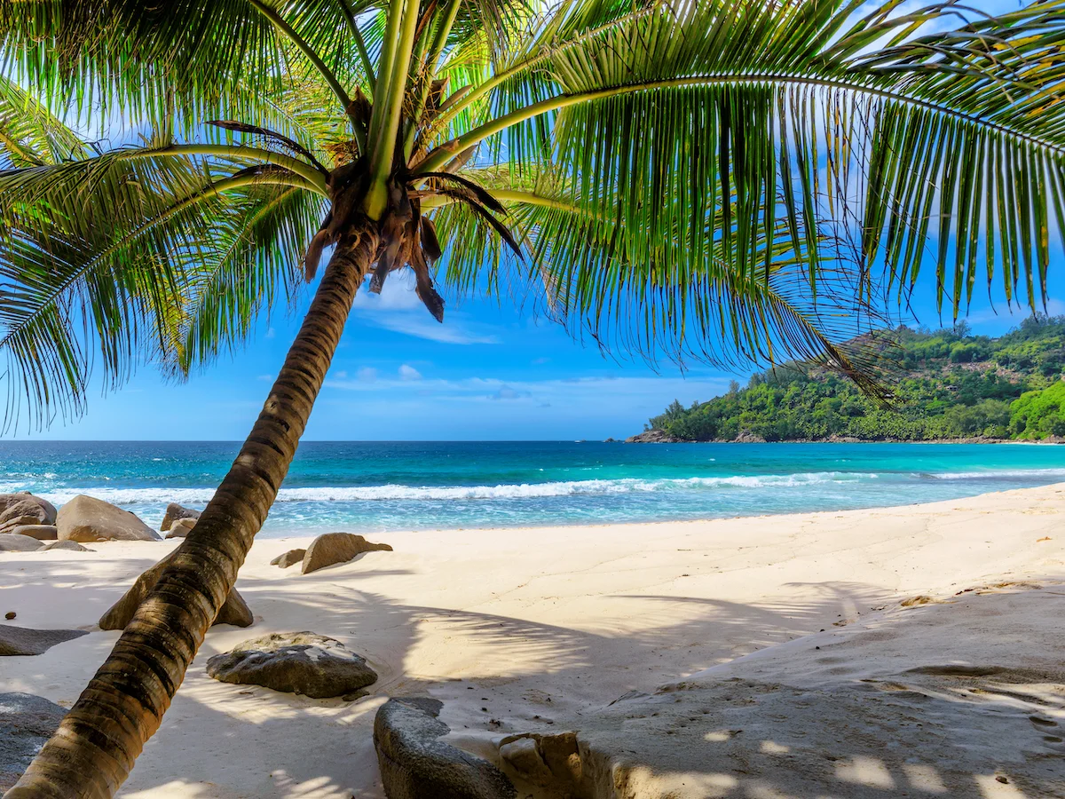 Z wizytą u Boba Marleya