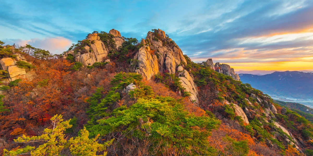 Tradycja i Nowoczesność