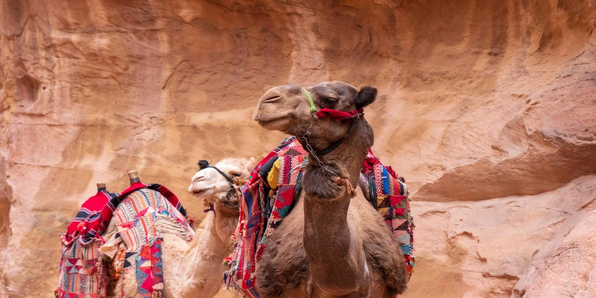 Pustynie i starożytne miasta