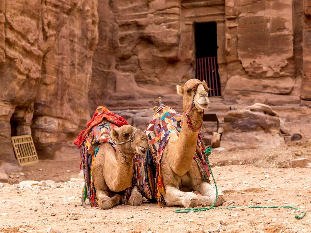 Pustynie i starożytne miasta