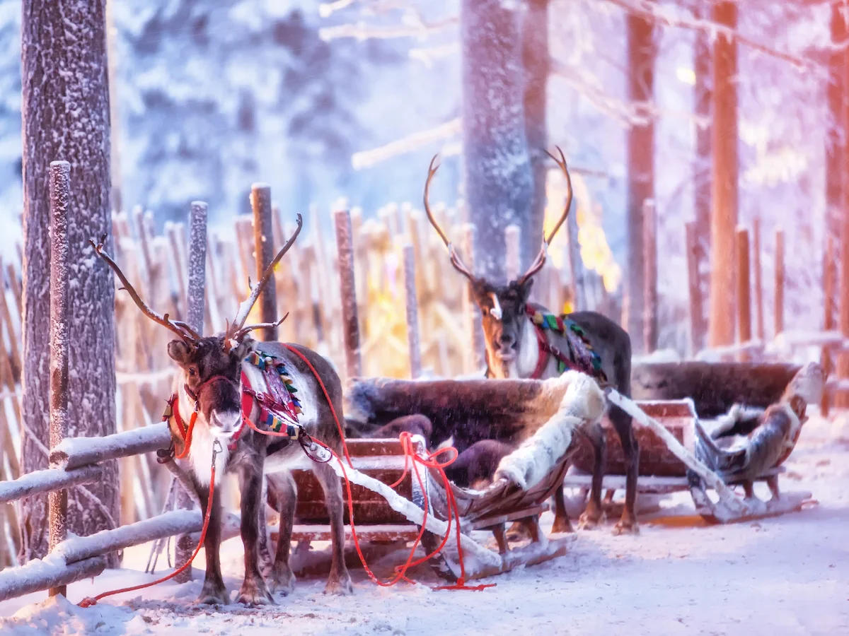 Laponia i Wioska św. Mikołaja