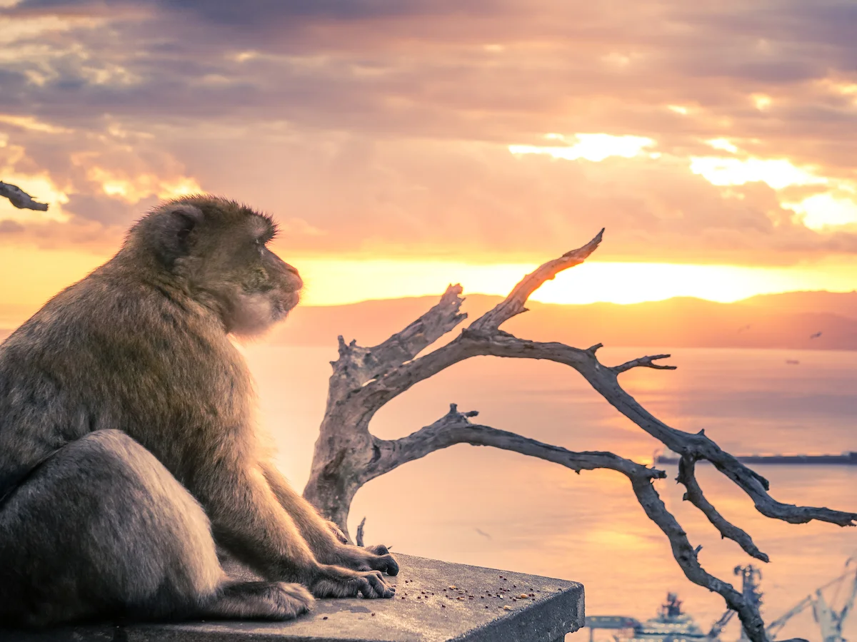 Skarby Półwyspu Iberyjskiego