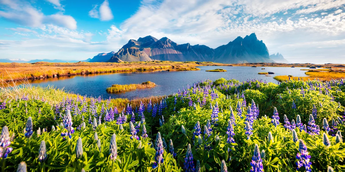 Szlakiem Złotego Kręgu