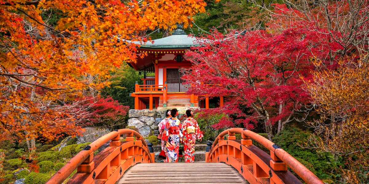 Przez Kraj Kwitnącej Wiśni