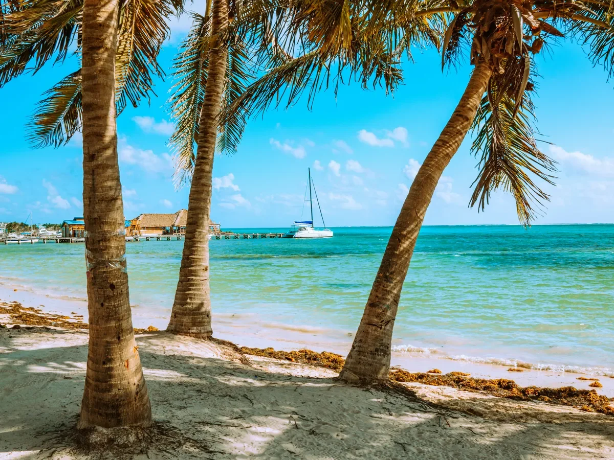 Tropikalna Ekspedycja