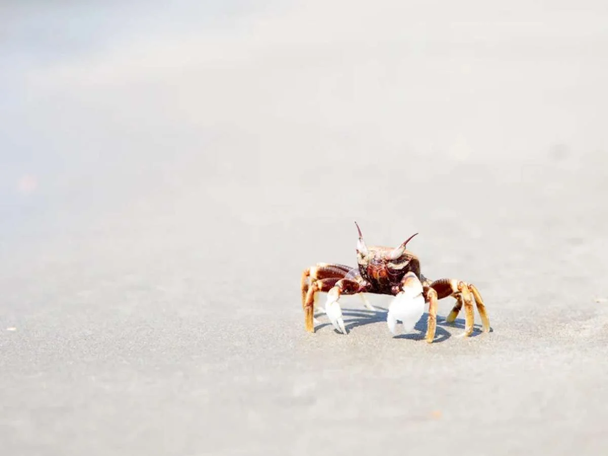 ZANZIBAR – STONE TOWN
