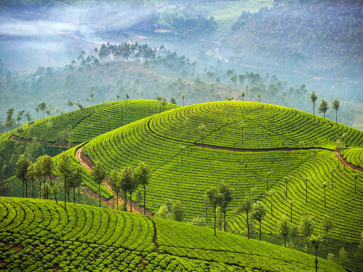 MUNNAR