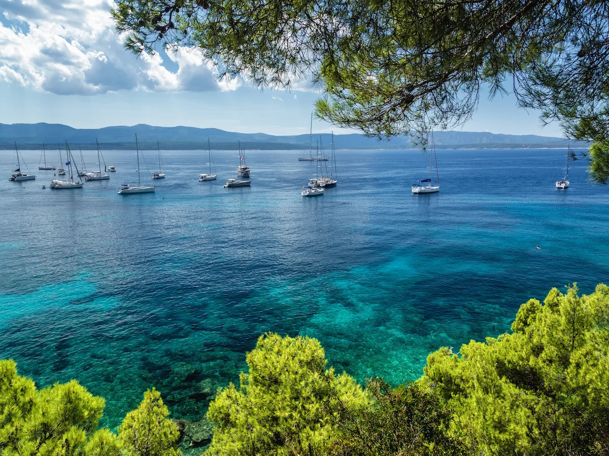 JASKINIA POSTOJNA - ROVINJ - NOVIGRAD